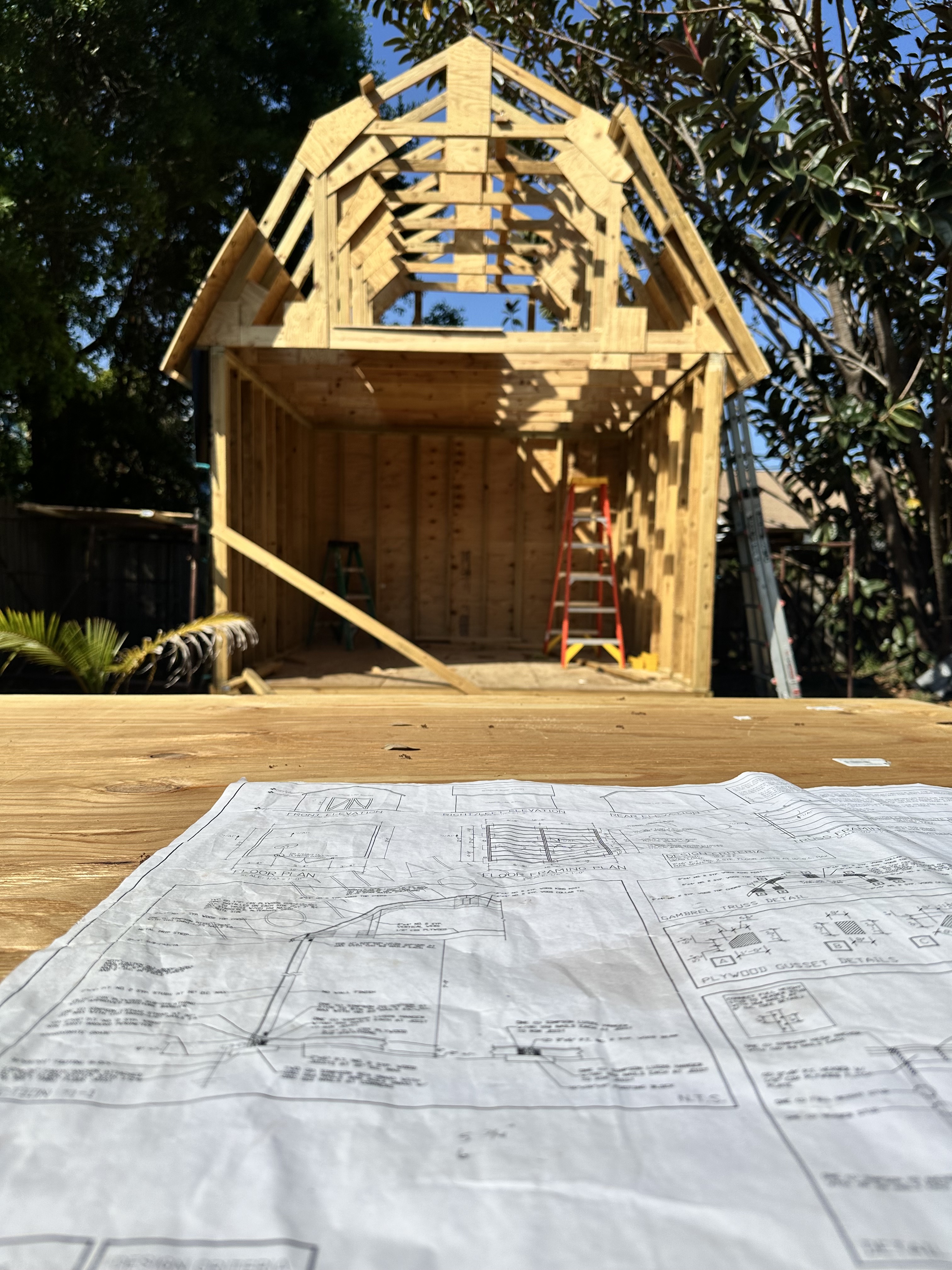 Build it and they will come